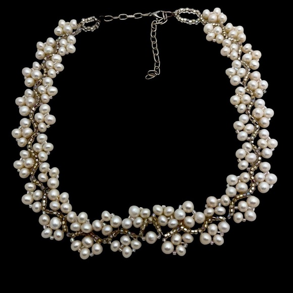 Genuine Pearl And Glass Silver Tone Seed Bead Necklace 17” - Picture 1 of 6